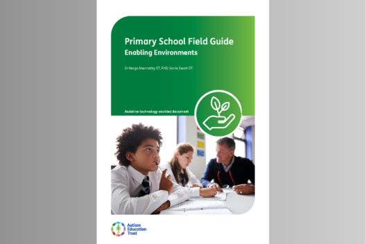 Primary Field Guide - Enabling Environments Cover