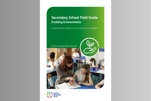 Secondary Field Guide - Enabling Environments