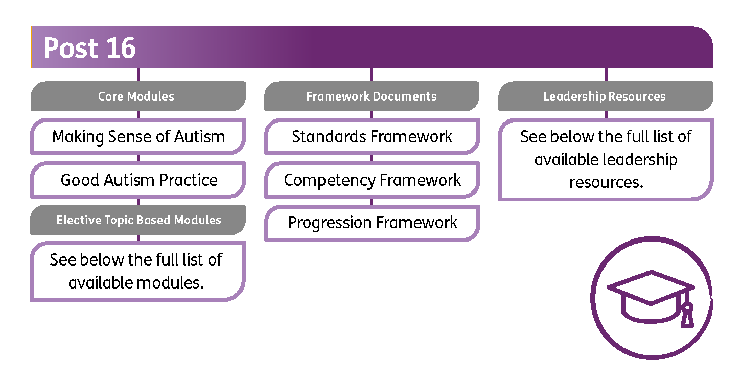 Post-16. Core modules: Making Sense of Autism, Good Autism Practice. Elective Topic Based Modules: See below, the full list of available modules. Framework documents: Standards Framework, Competency Framework, Progression Framework. Leadership Resources: See below, the full list of available leadership resources. 